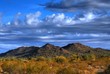 Desert Mountains