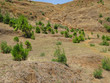 Paysage malgache Paysage malgache