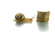 Snail going close to coin pile