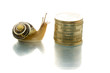 Snail looks curiously at coin pile