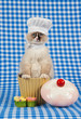 RagdollKittenChefOutfitCupcake_lc_P2513.jpg