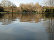 Urban pond in Dublin