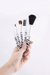 Professional make-up brushes on white background