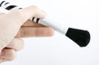 Professional make-up brushes on white background