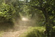 sentier