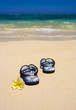 sandals & footprints on the shore of a tropical beach sandals & footprints on the shore of a tropical beach