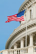 The United States Capitol Building in Washington, DC The United States Capitol Building in Washington, DC