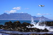 Plane over table mountain