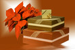 POINSETTIAS AND PRESENTS