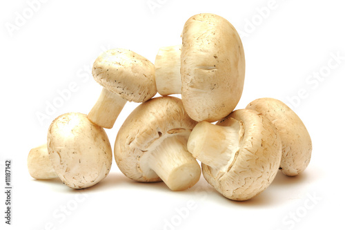 Photo: Mushrooms Mushrooms