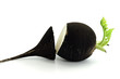 Radish (Raphanus)
