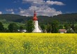 Meadow and old church Meadow and old church