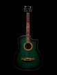 Acoustic guitar