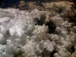 The Wrath Of God