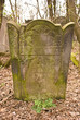 Old Jewish Cemetery in Lodz, Poland