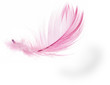 Feather