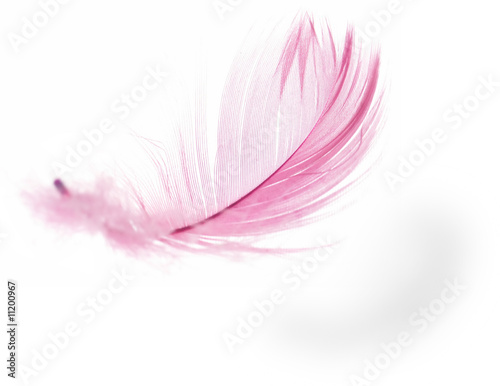 Photo: Feather Feather