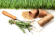 Grass, seeds, cord and peat pots for spring