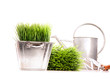Watering can with grass and garden tools on white