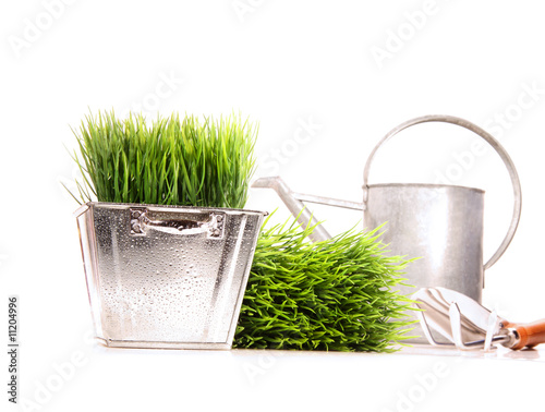 Photo: Watering can with grass and garden tools on white Watering can with grass and garden tools on white