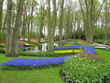 Keukenhof