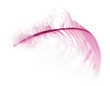 Feather