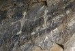 Rock petrographs Rock petrographs