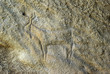 Ancient rock carving in Gobustan Ancient rock carving in Gobustan