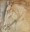 Testa di cavallo