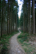 Wald