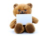 isolated teddy with blank sheet isolated teddy with blank sheet