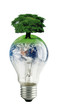 lampadina