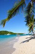 tobago cays tobago cays