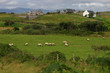 Connemarra - Paysage typique Connemarra - Paysage typique