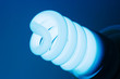 Photo: Compact Fluorescent Light Bulb. Compact Fluorescent Light Bulb.