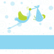 Baby boy arrival announcement card