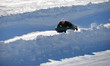 Man Tubing Down the Hill Man Tubing Down the Hill