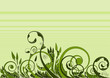Illustration: illustrazioni floreali illustrazioni floreali