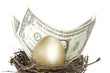 Gold egg