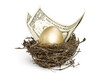 Gold egg