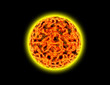 Sole