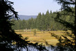 Kleiner Arbersee 4