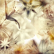 Quadro floral background in pastel colors