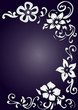 Javanese pearls
