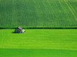 Swiss green Swiss green