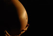 pregnancy