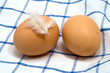 Frische Hühnereier