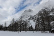 The Alps Mountain