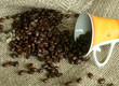 Grains of coffee and a cup on a sacking