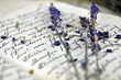 Lavender and Old Book